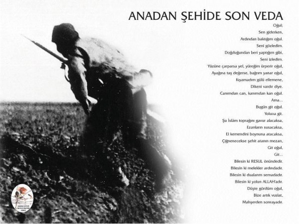 çanakkale 7