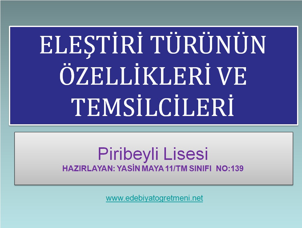 eleştiri 1