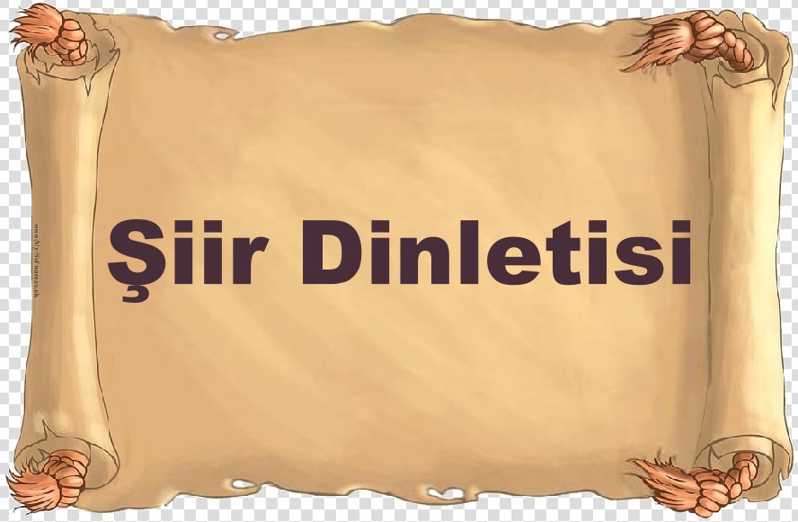 Şiir dinletisi