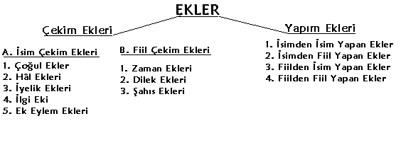 ekler_ve_sozcuk_yapisi